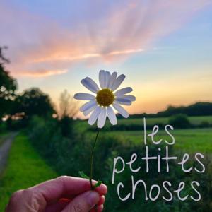Les Petites Choses