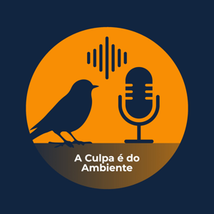 A Culpa é do Ambiente