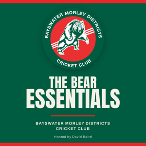 The Bear Essentials