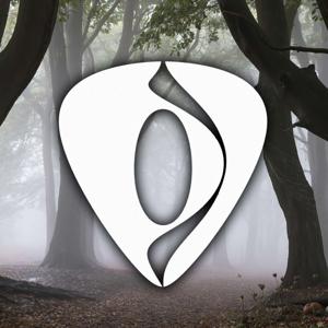 Cuerdas Constantes Guitarra para Concentrarse
