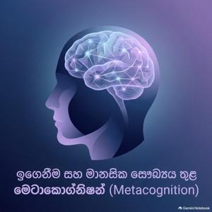 තමන්ගේ-සිතීම පිළිබඳව සිතීමේ බලය