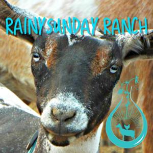 RainySunday Ranch