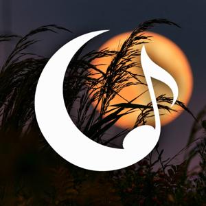 Noche de Cuerdas Guitarra para Dormir