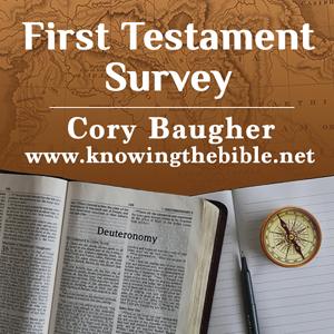 Old Testament Survey Unit 4