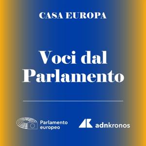 Voci dal Parlamento