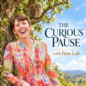 The Curious Pause
