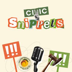 Civic Snippets