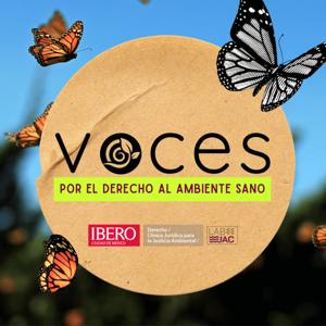 Voces por el derecho al ambiente sano