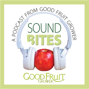 Sound Bites
