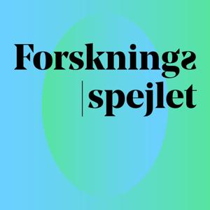 Forskningsspejlet: Forskerne fortæller