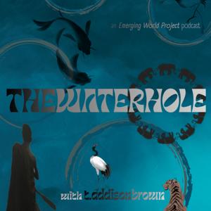 The WaterHole