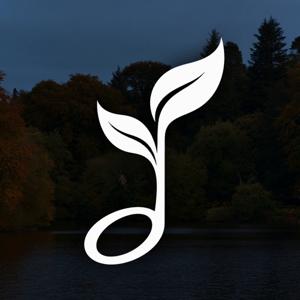 Serenity Peaceful Music
