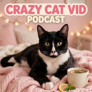 Crazy Cat Vid Podcast