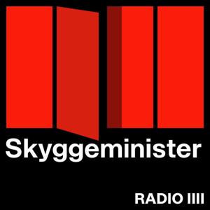 Skyggeminister