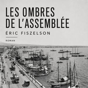 Les Ombres de l'Assemblée