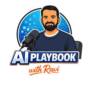 AI Playbook with Ravi