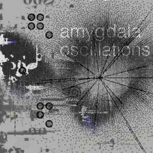 Amygdala Oscillations