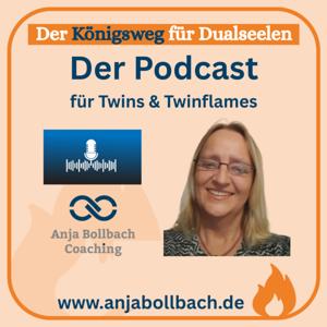 HOME OF THE TWINFLAMES - Brich den Kreislauf + komm bei dir an Dualseele & alleingeborener Zwilling
