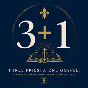 3 + 1