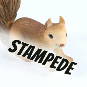 Squirrel Stampede