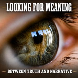 Looking For Meaning - Between Truth and Narrative