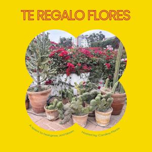 Te Regalo Flores
