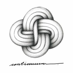 Continuum Field Podcast