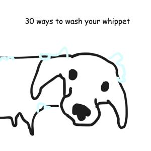 30 Ways to Wash your Whippet