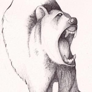 M.R.R. Jack's Tales of Pictavia Podcast
