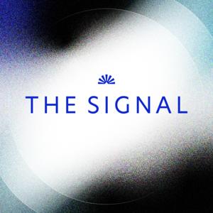 The Signal