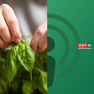 Der Kräutertipp von Christine Lackner by ORF Radio Steiermark