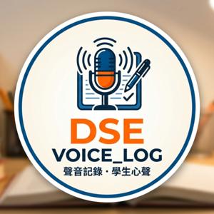 DSE 留聲機 dse voice log