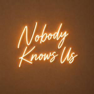 Nobody Knows Us