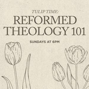 Reformed Theology 101