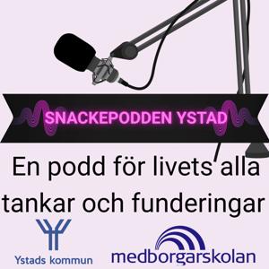Snackepodden Ystad