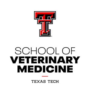 TTU SVM Clinical Year Podcast