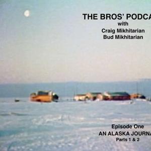 THE BROS' PODCAST