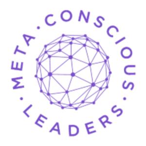 Meta-Conscious Leaders
