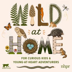 Wild at Home