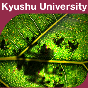 集団生物学 by 