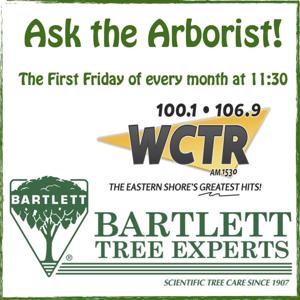 Ask the Arborist!