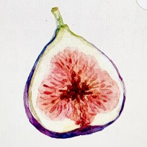 the fig tree journals
