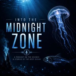 Into the Midnight Zone