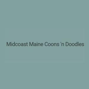 Midcoast Maine Coons n Doodles