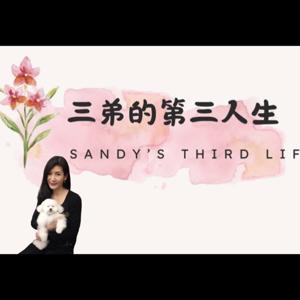 三弟的第三人生