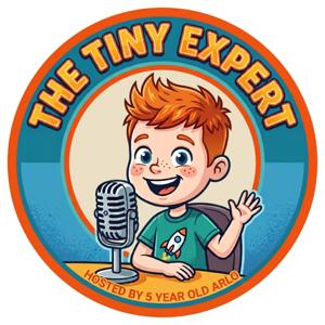 The Tiny Expert