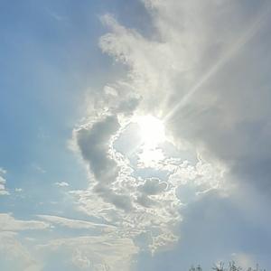 醫武藥食