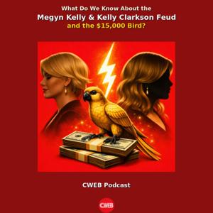 What Do We Know About the Megyn Kelly and Kelly Clarkson Feud—and the $15,000 Bird Feyd