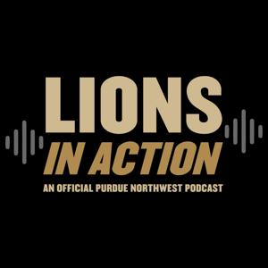 Lions in Action