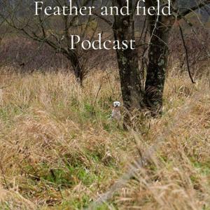 Feather and Field